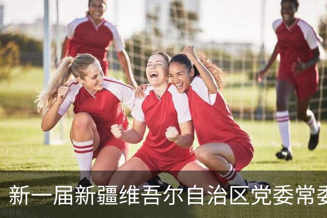 新一届新疆维吾尔自治区党委常委简历